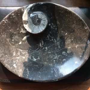 Orthoceras Fossil Trinket Dish